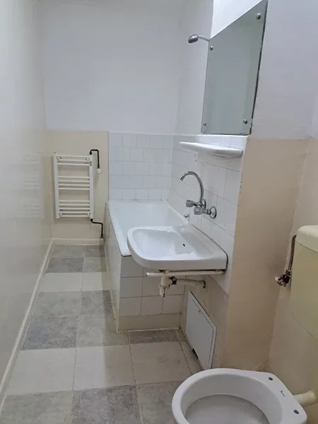 Lacul Tei x Teiul Doamnei - 5 min facultatea de constructii si parcul tei